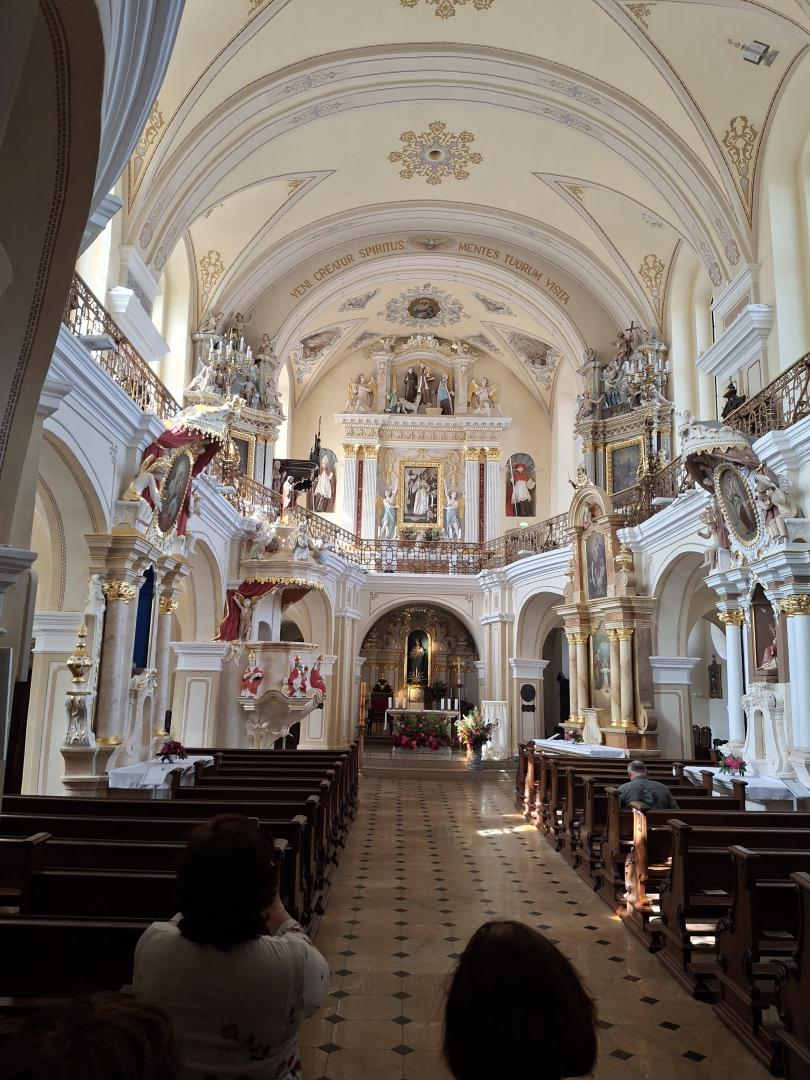 Telšių katedra