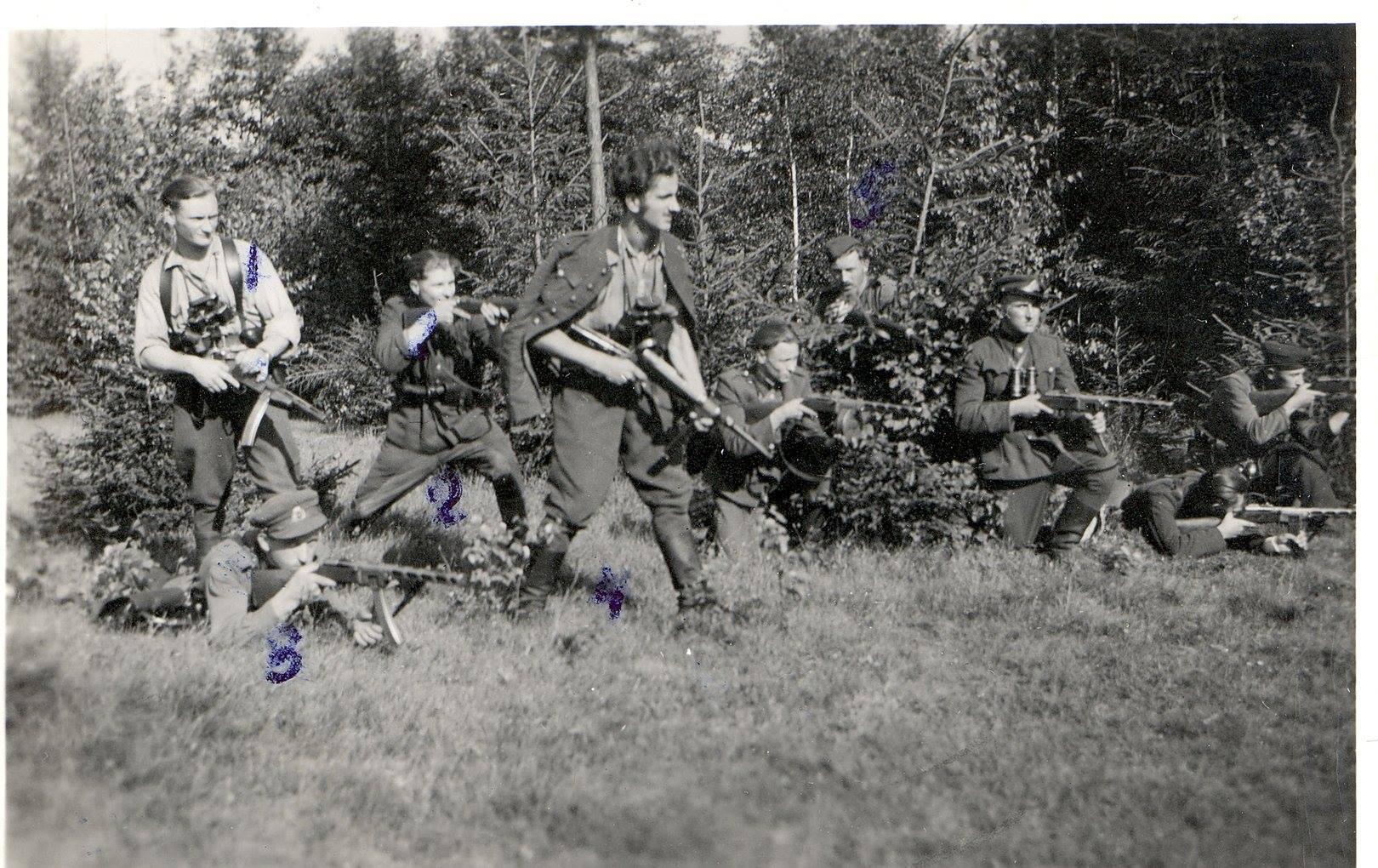 1948 m. spalio 27 d. Vaclovo Voverio - Žaibo vadovaujama partizanų grupė surengė pasalą netoli Grendavės, Onuškio MVD įgulai, kurios metu buvo nukauta 18 (kitais duomenimis 19) priešo kareivių, paimta daug ginklų. Partizanai nenukentėjo.