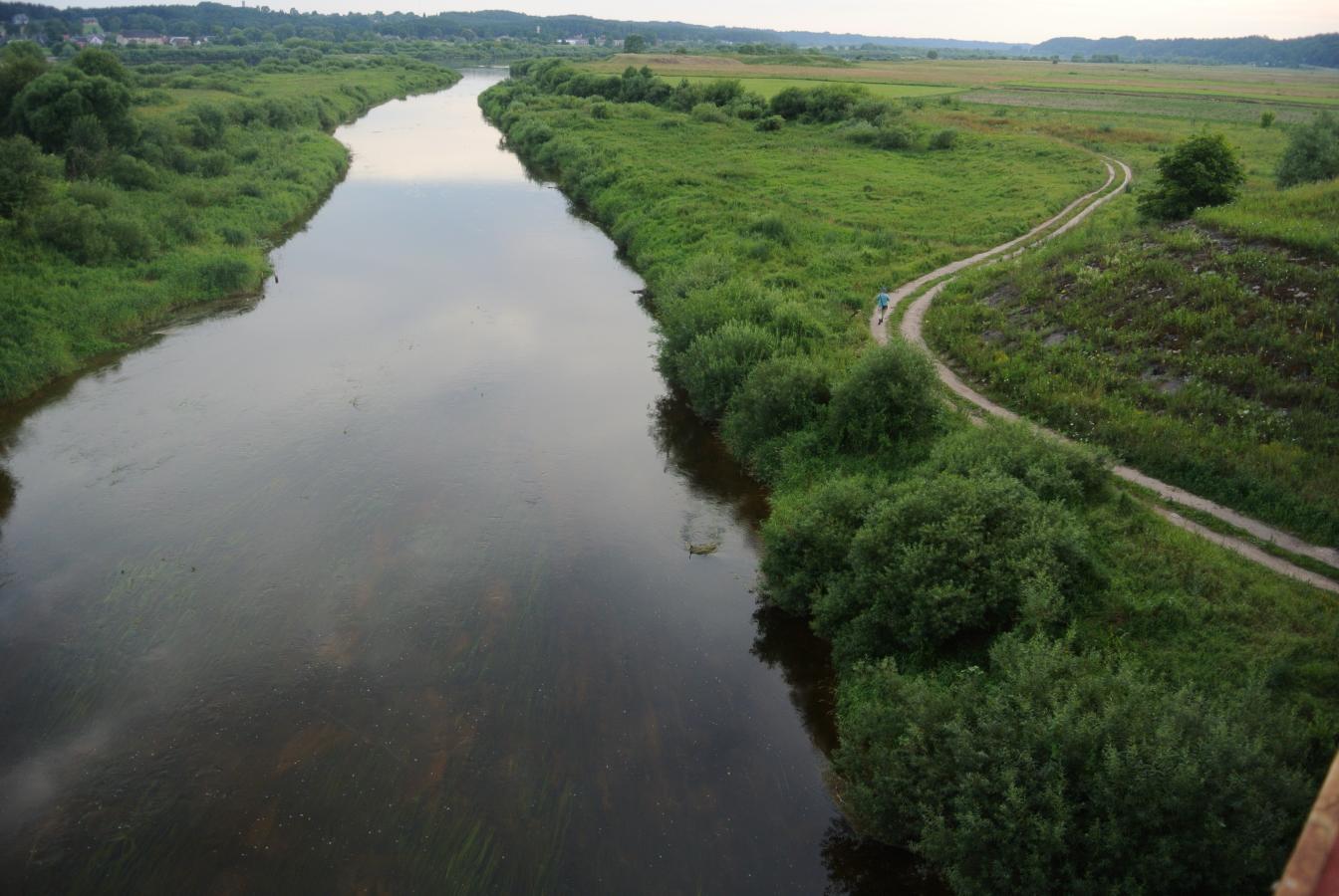 Dubysa ties Seredžium įteka į Nemuną. Fotografuota nuo tilto